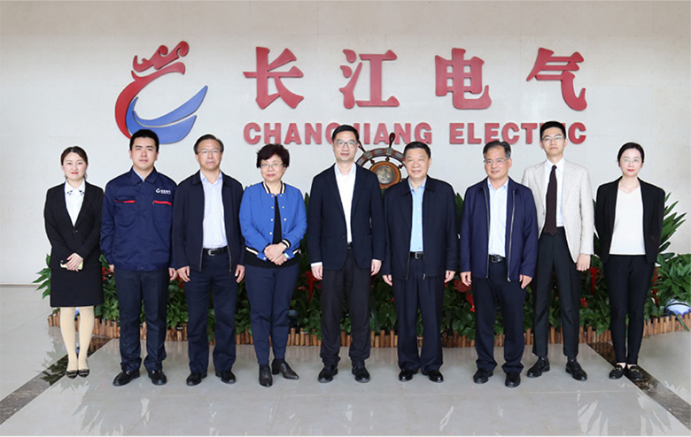 湖北省委常委、统战部部长宁咏视察星空电子