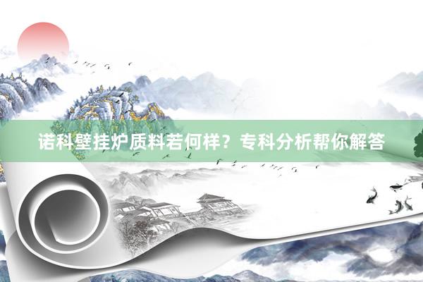 诺科壁挂炉质料若何样？专科分析帮你解答